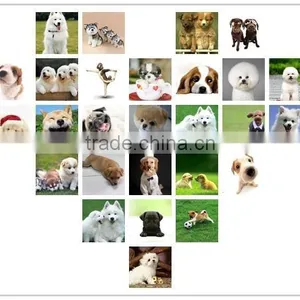 Dog Finger Toothbrush / Dog Cat Pet Silicone Toothbrushes thumbnail-6