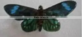 Orchid Accessories thumbnail-2