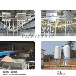 Battery Chicken Cage/layer Chicken Battery Cage/chicken Layer Cage for Sale thumbnail-2
