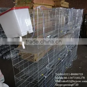 Rabbit Hutch And Runs thumbnail-1
