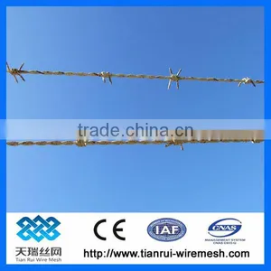 Double Twist PVC Coated Barbed Wire thumbnail-1