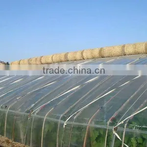 Big Size Agriculture Greenhouse Tunel Film thumbnail-2