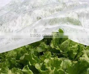 Agricultural PP Plastic Spunbond Non-woven Fabric Ground Cover Price thumbnail-1