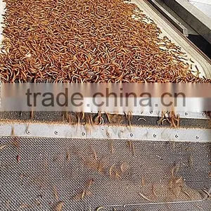 25mm 100% Pure Natural Freeze Dried Mealworms For Bird Food thumbnail-2