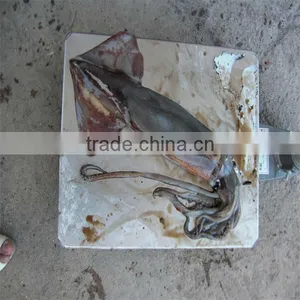 New Season Iqf Wholesale Seafood thumbnail-1