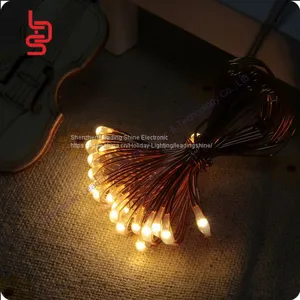 LED Copper String Light 20 Led 10 cm Spacing thumbnail-2