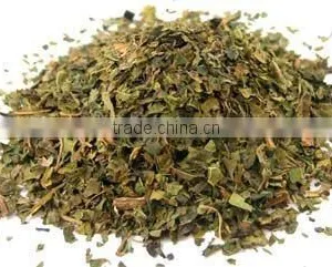 Carica Papaya Leaves thumbnail-2