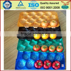 Factory Cheap Price Food Safety PP Plastic Cavity Tray for Pear Packing thumbnail-1