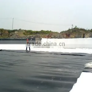 Geomembrane Linings and Liners thumbnail-6