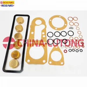 Diesel Pump Repair Kits-cummins Rebuild Kit 1 417 010 003 for ISUZU Ve Pump thumbnail-1