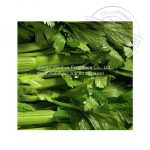 8015-90-5 Supply of High-quality Celery Rapeseed Oil thumbnail-2