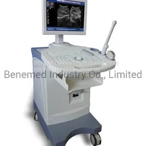 Trolly Build-in Black and White Ultrasound Scanner Diagnostic Equipment thumbnail-2