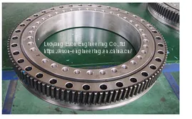 Factory Stock Goods Directly Sale Slewing Bearing for Automation Line thumbnail-1