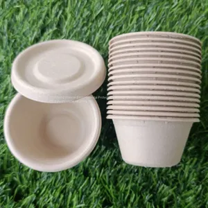 2oz 50ml Biodegradable Compostable Disposable Sugarcane Bagasse Party Supplier Paper Cup thumbnail-5