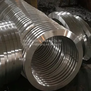 304L Stainless Steel Forged Rings thumbnail-3