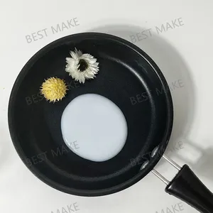 Polyethersulfone Dispersion With Corrosion Resistance thumbnail-1