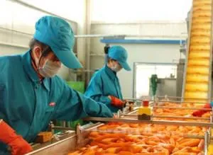 Mango Puree Tomato Paste Pulping Production Line Beverage Producing Machine thumbnail-5