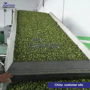 Industrial Hot Air Cassava Chips Leaves Vegetable Tunnel Dryer Breadfruit Salami Groundnut Shrimp Shell Drying Machine EPC thumbnail-4