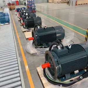 IE4VF Three Phase Induction Motor 7.5-630KW IE4 AC Electric Motor High Efficiency Energy Saving Long Life thumbnail-5