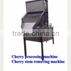 Fruit Stem Removing Machine / Chilli Stem Removing Machine thumbnail-3