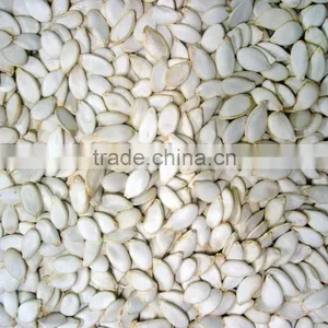 White Pumpkin Seeds thumbnail-1
