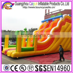 Colourful Design Inflatable Dry Slide With Trees thumbnail-4