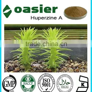 100% Nature Huperzine Serrate Extract 1% thumbnail-1
