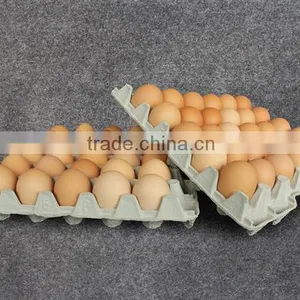 Paper Pulp High Quality Egg Cartons and Trays thumbnail-1