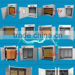 1000 Chicken Eggs Incubator for Sale Combined Setter and Hatcher thumbnail-2