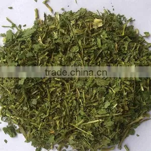 Dehydrated Coriander thumbnail-1