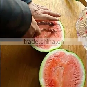 As Seen on TV Right Choice Convenient Magic Watermelon Slice for Home Use thumbnail-6