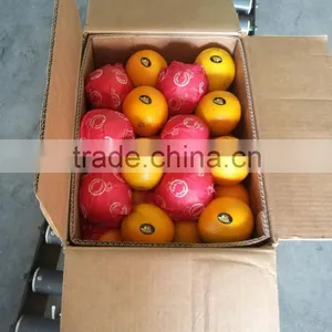 Egyptian Orange thumbnail-1