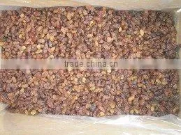 Sultana Raisin thumbnail-1
