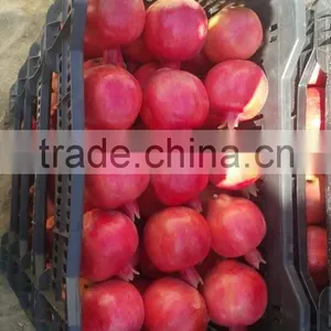 Fresh Pomegranate For Sale thumbnail-4