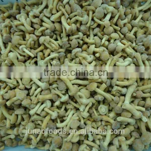 New Season Iqf Nameko Mushroom Export Price thumbnail-3