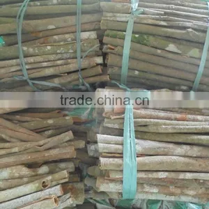WHOLE CASSIA / CINNAMON thumbnail-1