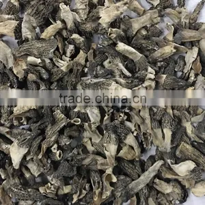 Dried Morchella Conica Industrial Grade thumbnail-1