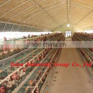 Layer Poultry Rearing Cages for Nigeria/Africa thumbnail-1
