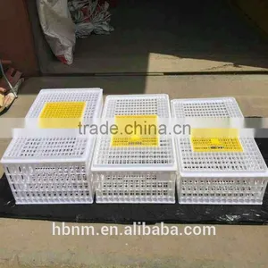 China Best Price Plastic Chicken Transport Cage for Poultry Farms thumbnail-2