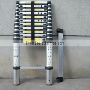 Longest Telescopic Ladder thumbnail-6