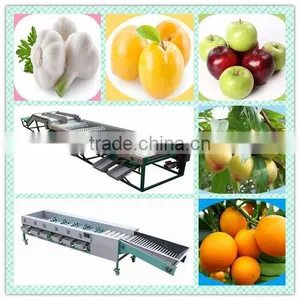 Thoyu Brand Stainless Steel Fruit and Vegetable Grading Machine With Low Price(SMS:0086-15903675071) thumbnail-1