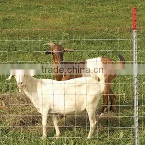 Wholesale Bulk Cattle Fence, Red Top Field Fence Wire Farm thumbnail-2