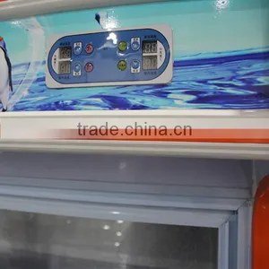 Vertical Dish Order Display-series Refrigerator Compressor 12vr /solar Refrigerator /refrigerator Freezer thumbnail-6