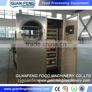 Mini Lab Vacuum Dryer for Mango thumbnail-4