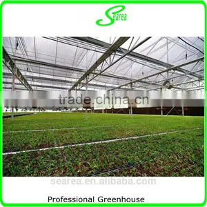 2014 Hot Sale Glass Greenhouse Used for Flower thumbnail-1