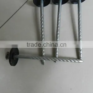 2017 Steel / Iron Nail Factory Offer 2017 thumbnail-3