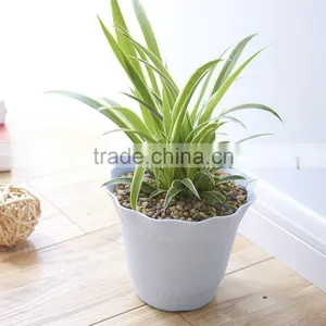 Fashional Design Lotus Shaped Plastic Plant Flower Pot Which Has 6 Kinds of Colors thumbnail-5