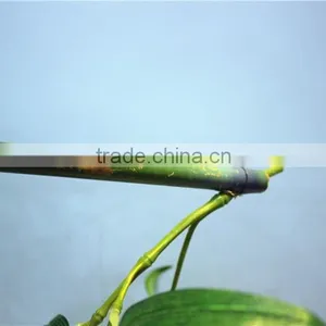 Curtain Home Garden Decorative Edging 3ft to 17ft Height Outdoor Simulation Green Bamboo Poles EZZZ06 1001 thumbnail-4