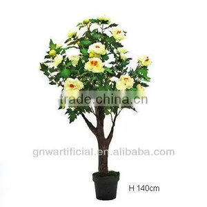 Ficus Microcarpa Bonsai Bonsai Tree Indoor Plant GNW G142 thumbnail-4