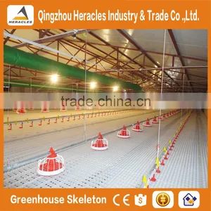 HERACLES Broiler Chicks Rate/ Automatic Broiler Feeding System /broiler Chicken Farming thumbnail-1